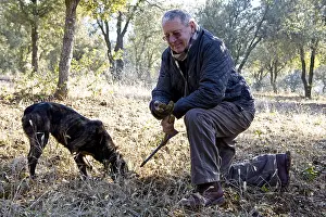 Picking: Discovery of a Black Truffle with a truffle Dog Provence