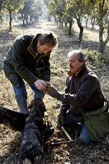 Picking: Discovery of a Black Truffle with truffle Dogs Provence