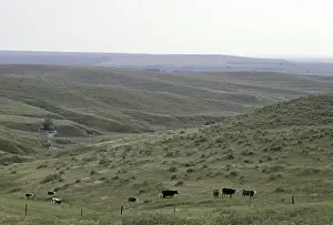 Prairie: Dissected Till Prairie, Kansas