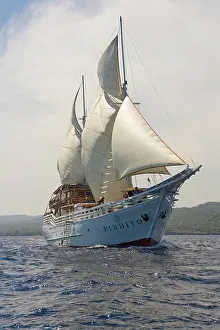 Ships: Dive ship for tourists, Pindito, Komodo, Lesser