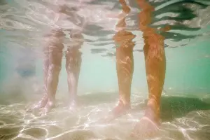 Attacks: DIVER-BATHER'S LEGS-SHARK VIEW