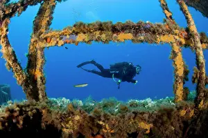 Scenics: Diver exploring the LST 349, a British Landing Ship Tank sun