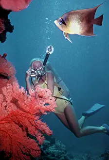 1960: Diver - Photographing a Blue angelfish, and Gorgonian