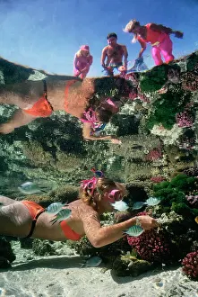 Snorkeller: DIVER SNORKELLER & ONLOOKERS