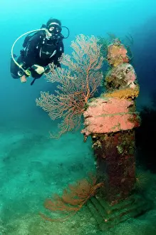 Made: diver with statue covered with corals