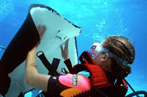 Dasyatis: Diver with Stingray