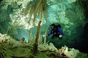 Torch: Diver with torch