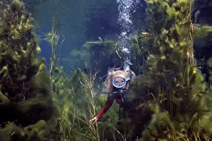 Sinkhole: DIVER, Valerie Taylor - swimming through weeds