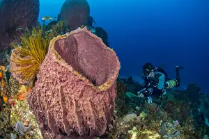 Muta: Diver with ventral rebreather in front of a Barrel