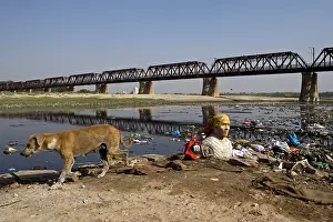 Sculptures: Divinity bust and Dog riverside Yamouna Agra Uttar Pradesh
