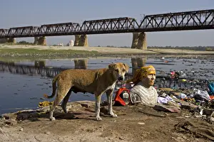 Sculptures: Divinity bust and Dog riverside Yamouna Agra Uttar Pradesh