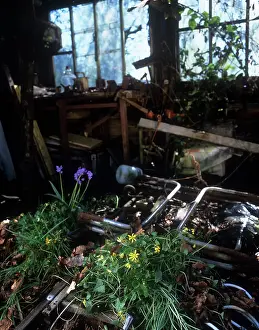 Reclaim: Dliapidated shed
