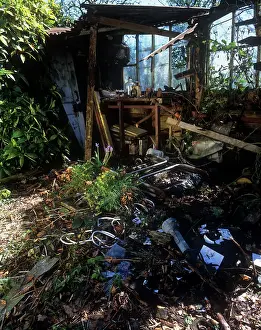 Reclaim: Dliapidated shed