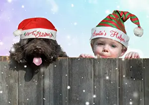 Helper: DOG. Cockerpoo and little boy looking over a fence