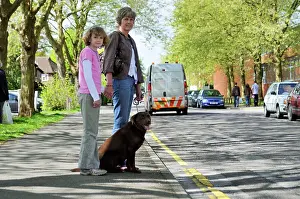 Safely: Dog crossing a road safely with adult & child