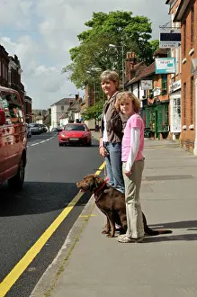 Safely: Dog crossing a road safely with adult & child