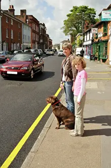 Safely: Dog crossing a road safely with adult & child