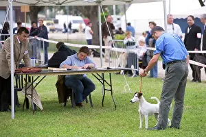 Owners: Dog Show - dog being judged