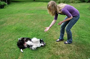 Owners: DOG. dog rolling over on owners command