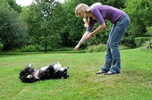 Owners: DOG. dog rolling over on owners command