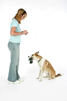 Retrieving: Dog - dropping toy at owner's feet