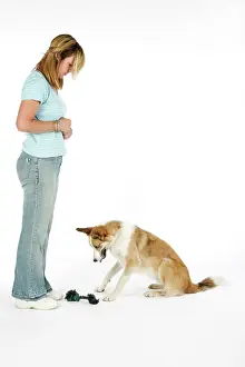 Retrieving: Dog - dropping toy at owners feet