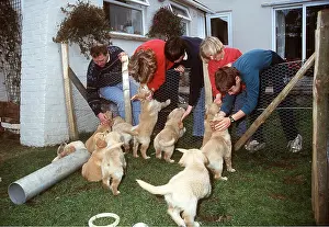 Owner: DOG - family choosing a puppy