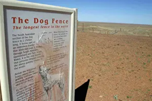 Longest: The Dog Fence - longest dog fence in the world