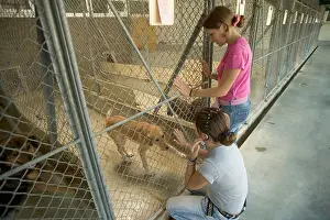 Choosing: Dog - two girls looking at Mongrel in rescue centre cage