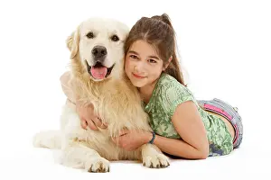 Cuddled: Dog - Golden retriever lying in studio being cuddled by girl