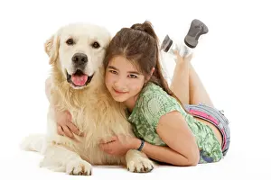 Cuddled: Dog - Golden retriever lying in studio being cuddled by girl