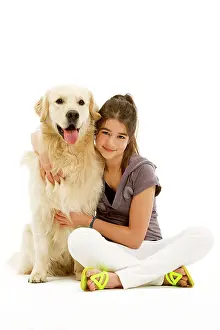 Cuddled: Dog - Golden retriever sitting in studio being
