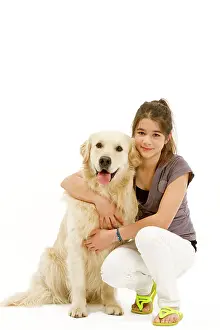 Cuddled: Dog - Golden retriever sitting in studio being