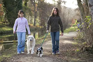 Footpaths: Dog - Golden Retriever on walk with two girls