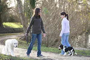 Footpaths: Dog - Golden Retriever on walk with two girls