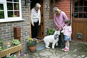 Visitors: DOG - greeting visitors to the family home