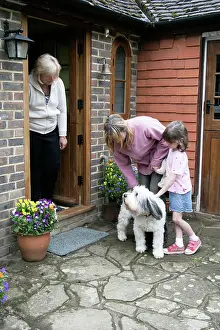 Visitors: DOG - greeting visitors to the family home
