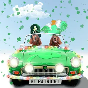 Patrick: DOG Irish setter driving green car St patrick day