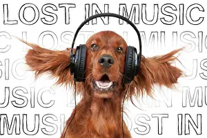 Sounds: Dog