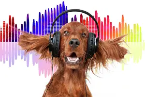 Sounds: Dog