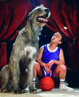 Basketball: Dog - Irish Wolfhound next to man sitting on basketball