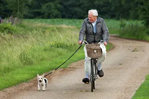 Bikes: Dog - Jack Russell - being walked by owner on bicycle