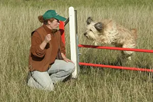 Trainer: Dog jumping over fence on agility course with trainer