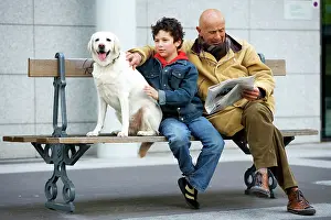 Reading: Dog - Labrador on bench with Man & boy reading newspaper