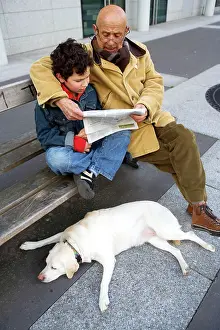 Reading: Dog - Labrador lying next to bench with Man & boy