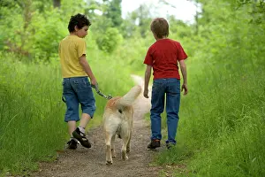 Walked: Dog - Labrador Retriever being walked by two young boys