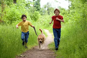 Footpaths: Dog - Labrador running along path on lead with two children