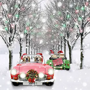 Scarf: Dog - Labradors driving car through Christmas