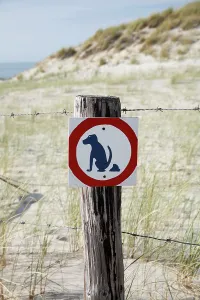 Faeces: Dog Litter Sign - on beach