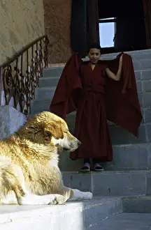 Monks: Dog lying and young monk Monastery Thiksey Leh India